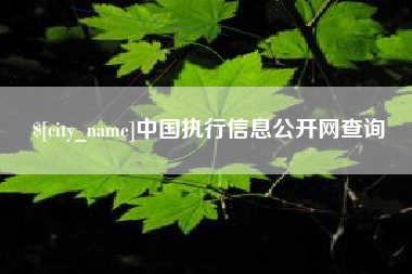 张家口中国执行信息公开网查询