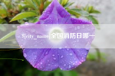 张家口全国消防日哪一