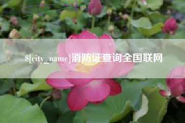 张家口消防证查询全国联网