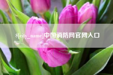 张家口中国消防网官网入口