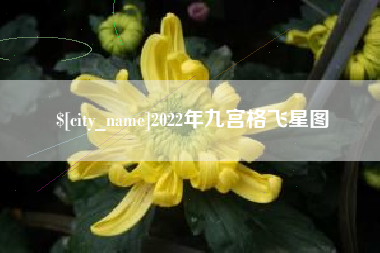 张家口2022年九宫格飞星图
