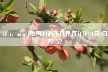 张家口我国的消防日是每年的11月9日对吗？