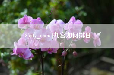 张家口九宫如何排日