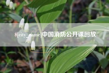 张家口中国消防公开课回放
