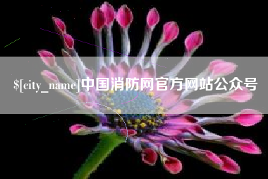 张家口中国消防网官方网站公众号