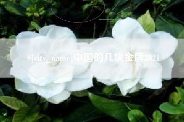 张家口中国的几块金牌2021