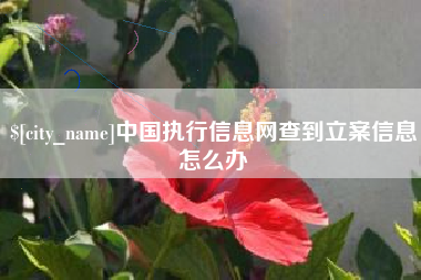 张家口中国执行信息网查到立案信息怎么办