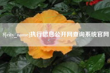 张家口执行信息公开网查询系统官网