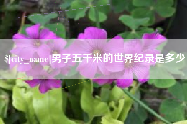 张家口男子五千米的世界纪录是多少