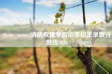 张家口消防救援学院山东招生录取分数线2020