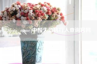 张家口中国失信执行人查询官网