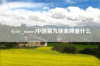 张家口中国第九块金牌是什么