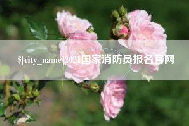 张家口2021国家消防员报名官网