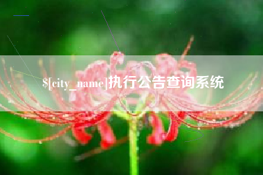 张家口执行公告查询系统