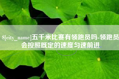 张家口五千米比赛有领跑员吗-领跑员会按照既定的速度匀速前进