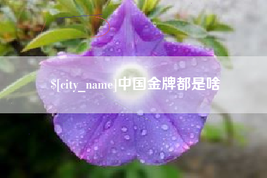 张家口中国金牌都是啥