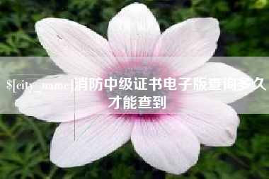 张家口消防中级证书电子版查询多久才能查到