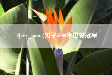 张家口男子5000米世界冠军