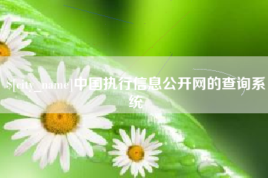 张家口中国执行信息公开网的查询系统