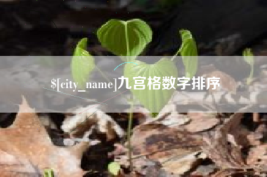 张家口九宫格数字排序