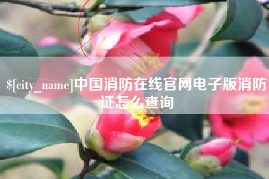 张家口中国消防在线官网电子版消防证怎么查询
