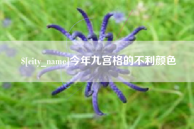 张家口今年九宫格的不利颜色