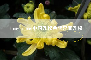 张家口中国九枚金牌是哪九枚
