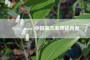 张家口中国第九金牌获得者