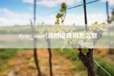 张家口消防证查询怎么查
