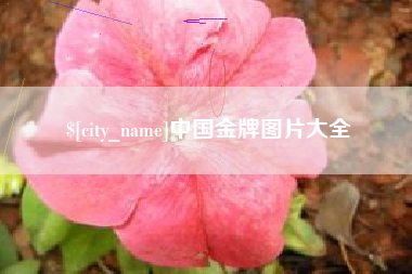 张家口中国金牌图片大全