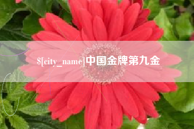 张家口中国金牌第九金