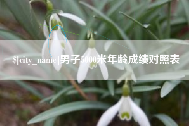 张家口男子5000米年龄成绩对照表