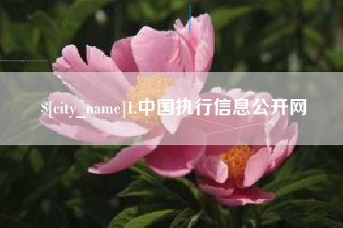 张家口1.中国执行信息公开网