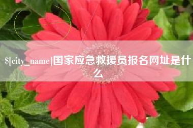 张家口国家应急救援员报名网址是什么