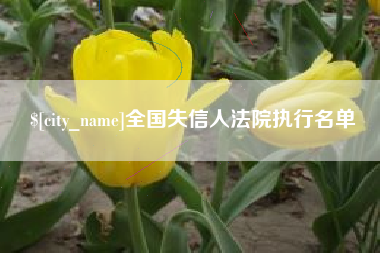张家口全国失信人法院执行名单