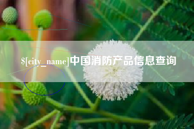 张家口中国消防产品信息查询