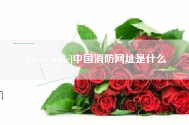 张家口中国消防网址是什么