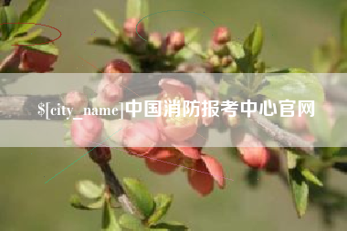 张家口中国消防报考中心官网