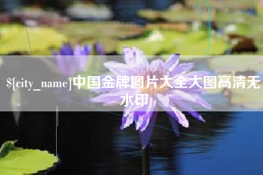 张家口中国金牌图片大全大图高清无水印