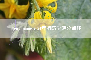 张家口2020年消防学院分数线