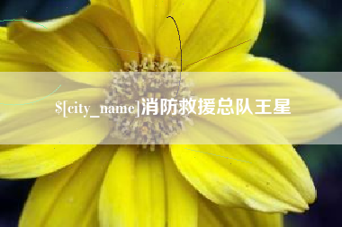 张家口消防救援总队王星