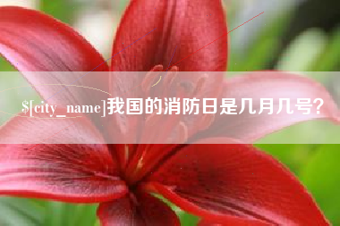 张家口我国的消防日是几月几号？