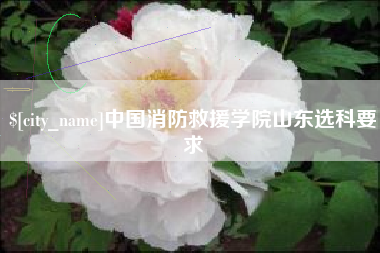 张家口中国消防救援学院山东选科要求