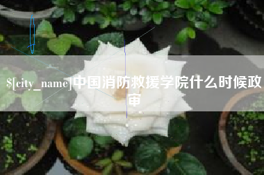 张家口中国消防救援学院什么时候政审