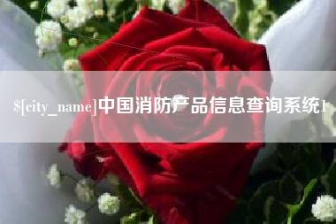 张家口中国消防产品信息查询系统1