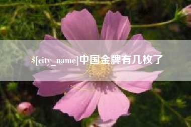 张家口中国金牌有几枚了