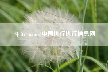 张家口中国执行执行信息网