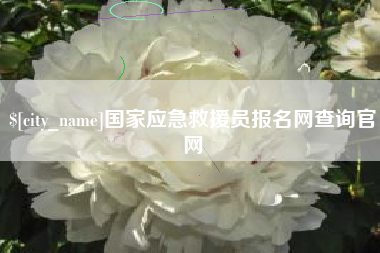 张家口国家应急救援员报名网查询官网
