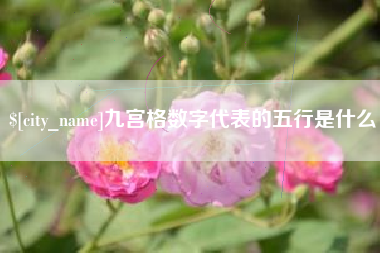 张家口九宫格数字代表的五行是什么