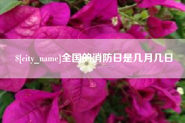 张家口全国的消防日是几月几日